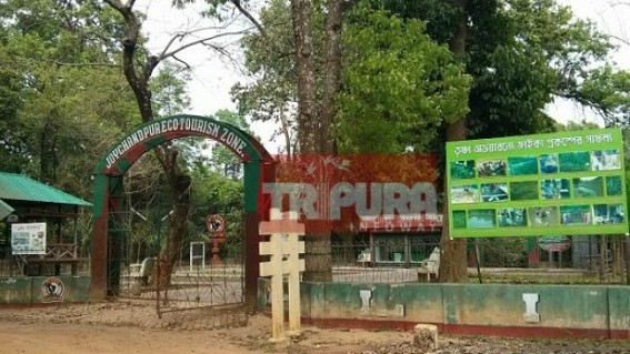 Tourist visitors high in Trishna Butterfly Park Eco-tourism Zone : Destruction of forest acting as a threat there Tourist visitors high in Trishna Butterfly Park Eco-tourism Zone : Destruction of forest acting as a threat there